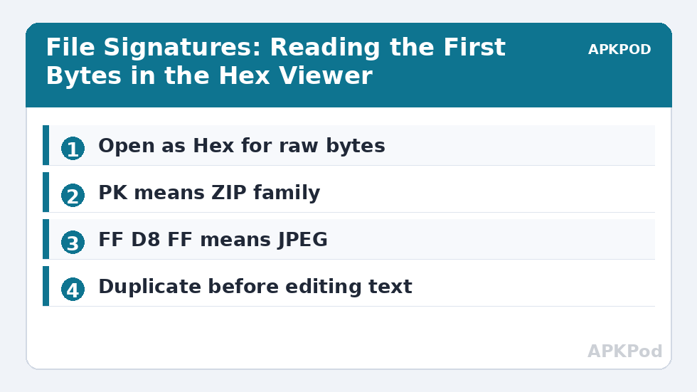 File Signatures: Reading the First Bytes in the Hex Viewer